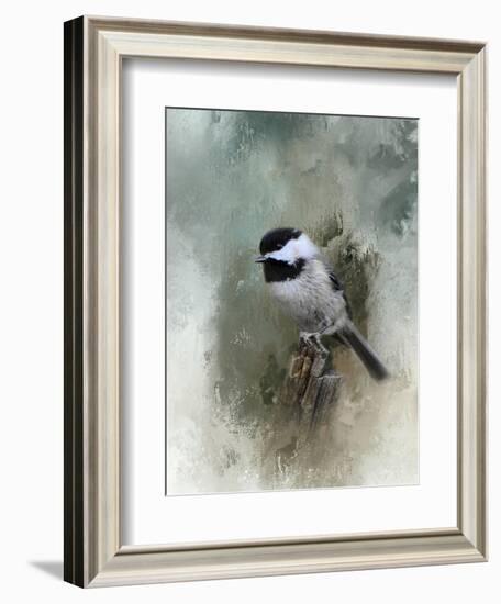 Winter Chickadee-Jai Johnson-Framed Giclee Print