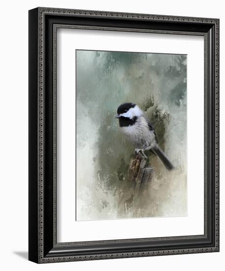 Winter Chickadee-Jai Johnson-Framed Giclee Print