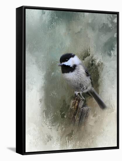 Winter Chickadee-Jai Johnson-Framed Stretched Canvas