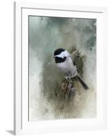 Winter Chickadee-Jai Johnson-Framed Giclee Print