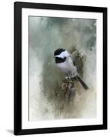 Winter Chickadee-Jai Johnson-Framed Giclee Print