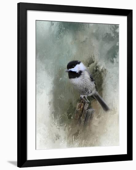 Winter Chickadee-Jai Johnson-Framed Giclee Print