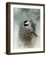 Winter Chickadee-Jai Johnson-Framed Giclee Print