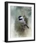 Winter Chickadee-Jai Johnson-Framed Giclee Print