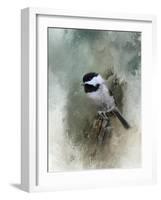 Winter Chickadee-Jai Johnson-Framed Giclee Print