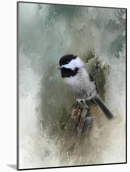 Winter Chickadee-Jai Johnson-Mounted Giclee Print