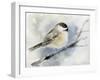 Winter Chickadee-Katrina Pete-Framed Art Print