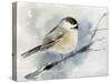 Winter Chickadee-Katrina Pete-Stretched Canvas