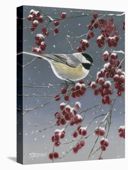 Winter Chickadees I-Fred Szatkowski-Stretched Canvas