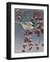 Winter Chickadees I-Fred Szatkowski-Framed Art Print