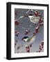 Winter Chickadees II-Fred Szatkowski-Framed Art Print