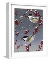 Winter Chickadees II-Fred Szatkowski-Framed Art Print