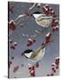 Winter Chickadees II-Fred Szatkowski-Stretched Canvas