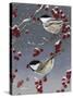 Winter Chickadees II-Fred Szatkowski-Stretched Canvas