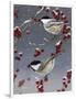 Winter Chickadees II-Fred Szatkowski-Framed Art Print