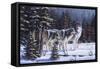 Winter Coats-R.W. Hedge-Framed Stretched Canvas