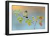 Winter Colors-Andres Miguel Dominguez-Framed Giclee Print