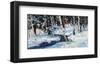 Winter Cools-Robert Moore-Framed Art Print