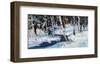 Winter Cools-Robert Moore-Framed Art Print