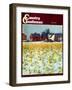 "Winter Cornfield," Country Gentleman Cover, January 1, 1946-Thomas Benner-Framed Giclee Print