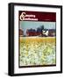 "Winter Cornfield," Country Gentleman Cover, January 1, 1946-Thomas Benner-Framed Giclee Print