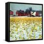 "Winter Cornfield,"January 1, 1946-Thomas Benner-Framed Stretched Canvas