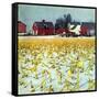 "Winter Cornfield,"January 1, 1946-Thomas Benner-Framed Stretched Canvas