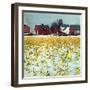 "Winter Cornfield,"January 1, 1946-Thomas Benner-Framed Giclee Print