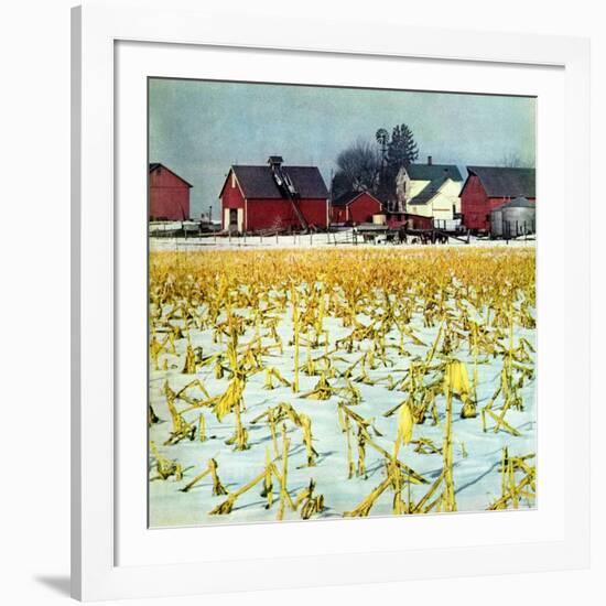 "Winter Cornfield,"January 1, 1946-Thomas Benner-Framed Giclee Print