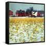 "Winter Cornfield,"January 1, 1946-Thomas Benner-Framed Stretched Canvas