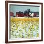 "Winter Cornfield,"January 1, 1946-Thomas Benner-Framed Giclee Print