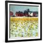 "Winter Cornfield,"January 1, 1946-Thomas Benner-Framed Giclee Print