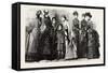 Winter Costumes, Fashion, 1882-null-Framed Stretched Canvas