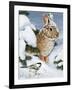 Winter Cottontail and Friend-William Vanderdasson-Framed Giclee Print