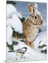 Winter Cottontail and Friend-William Vanderdasson-Mounted Giclee Print
