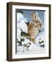 Winter Cottontail and Friend-William Vanderdasson-Framed Premium Giclee Print