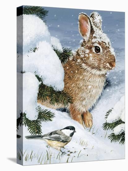 Winter Cottontail and Friend-William Vanderdasson-Stretched Canvas