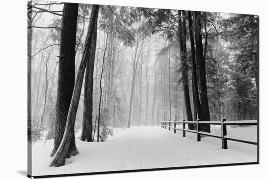 Winter Country Lane, Michigan-null-Stretched Canvas