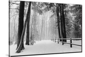 Winter Country Lane, Michigan-null-Stretched Canvas