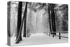 Winter Country Lane, Michigan-null-Stretched Canvas