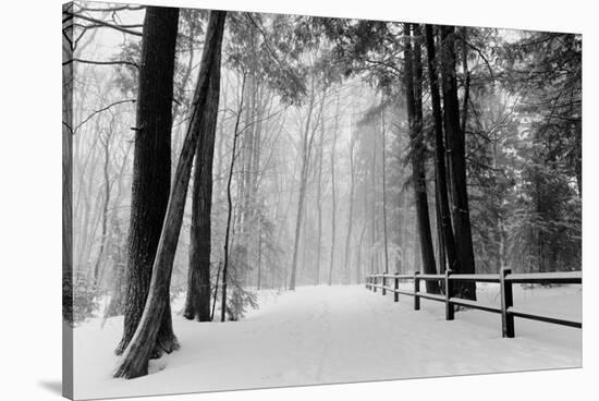 Winter Country Lane, Michigan-null-Stretched Canvas