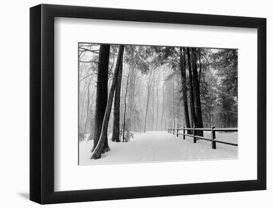 Winter Country Lane, Michigan-null-Framed Art Print