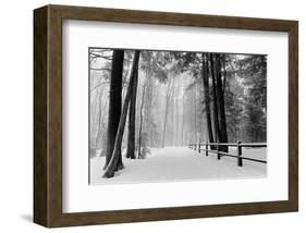 Winter Country Lane, Michigan-null-Framed Art Print