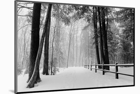 Winter Country Lane, Michigan-null-Mounted Art Print