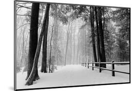 Winter Country Lane, Michigan-null-Mounted Art Print