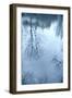 Winter Countryside in Suffolk, England-Tim Kahane-Framed Photographic Print