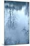 Winter Countryside in Suffolk, England-Tim Kahane-Mounted Photographic Print