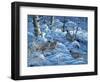 Winter Covey-Jeff Tift-Framed Giclee Print