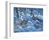 Winter Covey-Jeff Tift-Framed Giclee Print