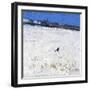 Winter Crow, 2011-Charles Simpson-Framed Giclee Print